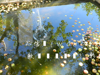 征信網(wǎng)貸多未逾期，能否申請貸款？影響因素有哪些？